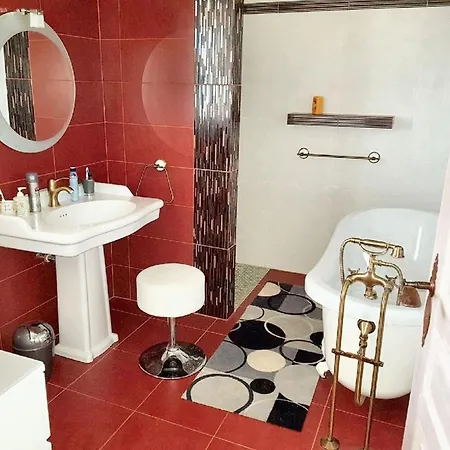Holiday home Maison Conviviale A Albi Avec Parking Prive *
